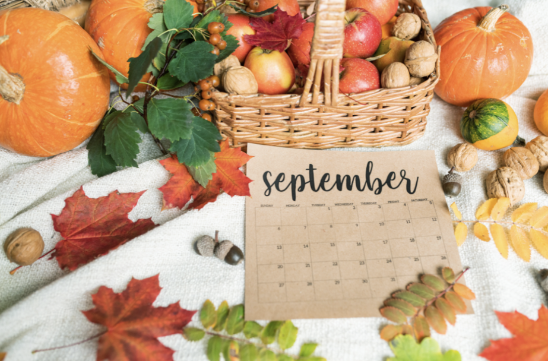 Featured image for “Make September great for your audience”