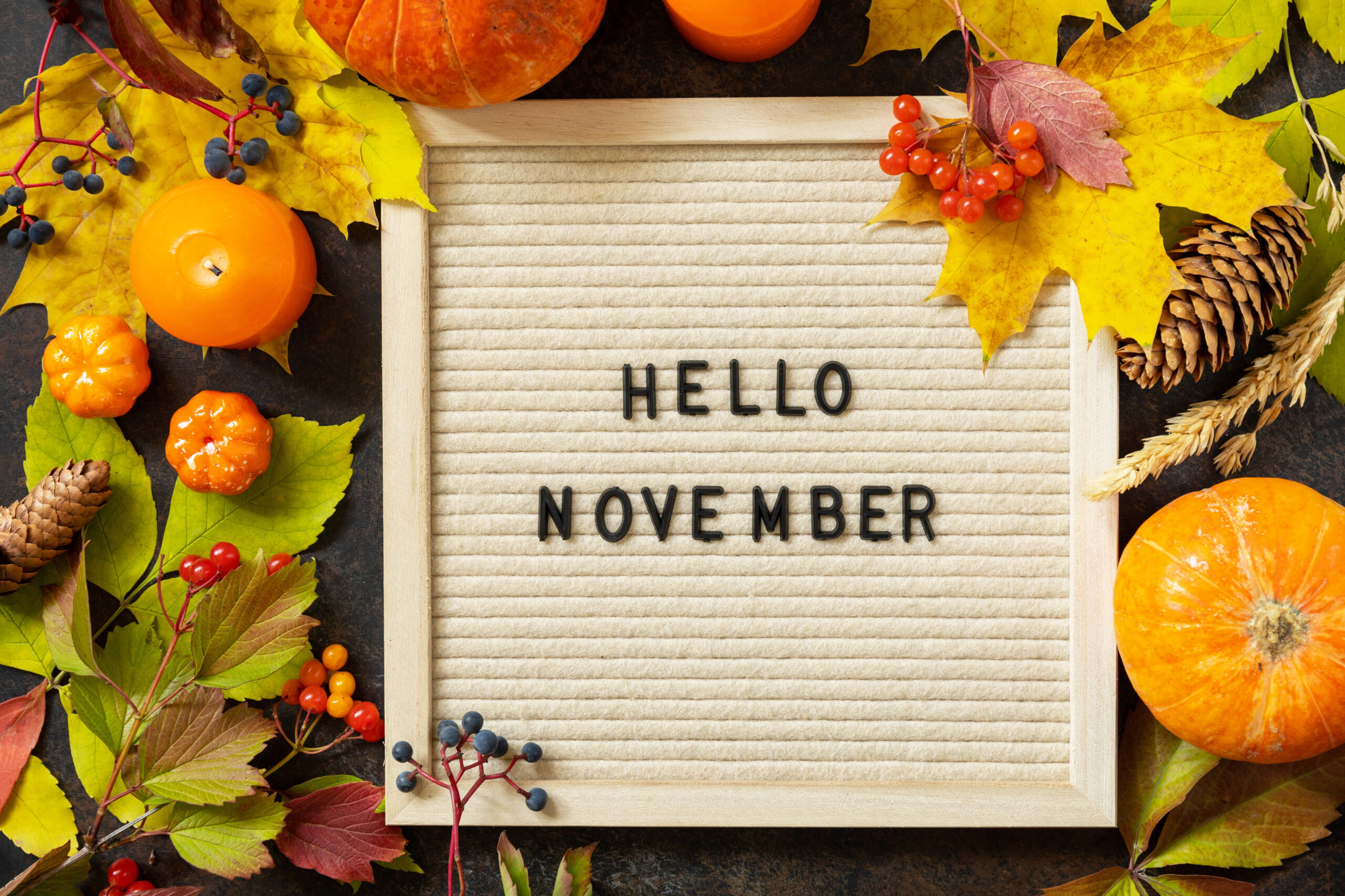 Featured image for “Readers will love these November ideas”