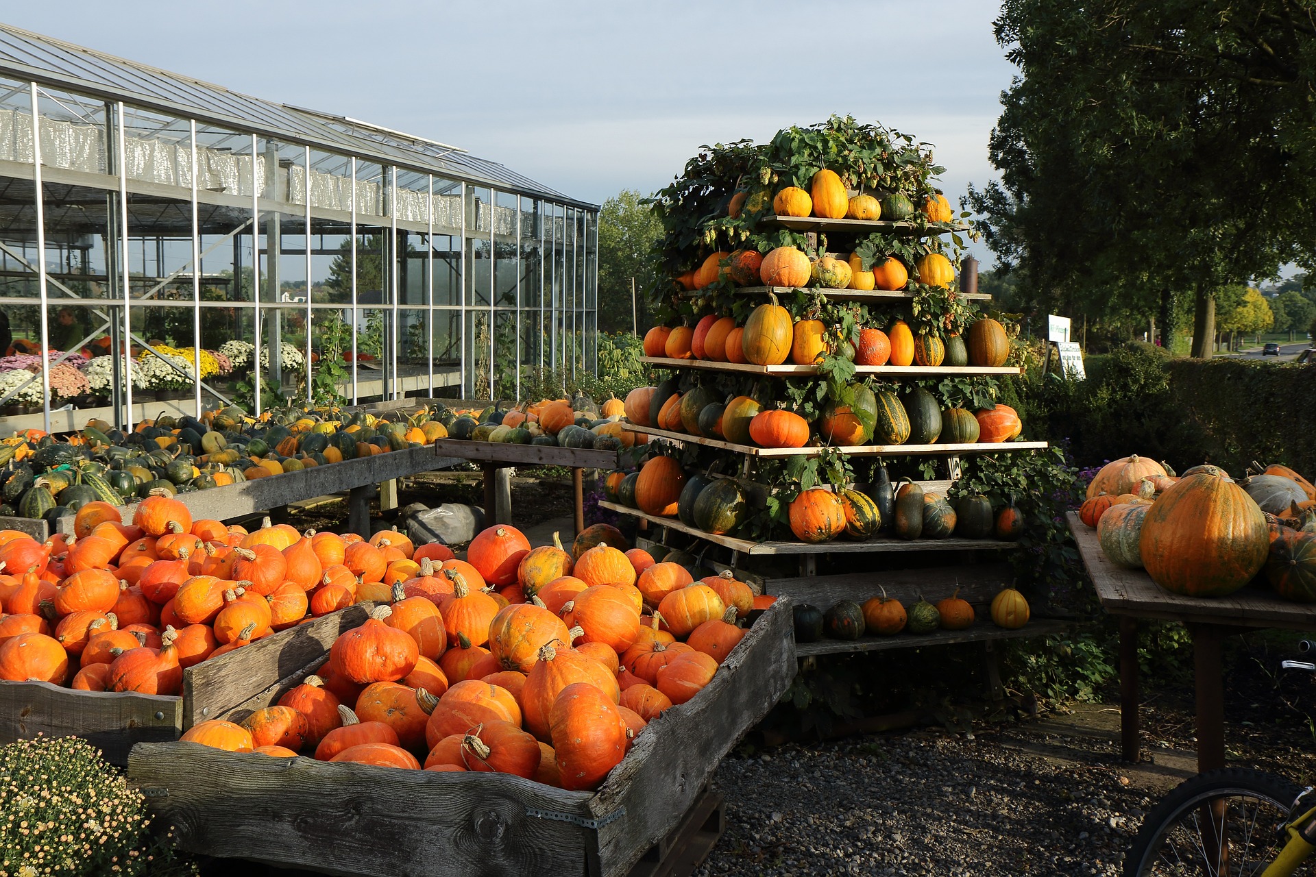 Featured image for “50 fall content ideas that will help you grow your audience this season”